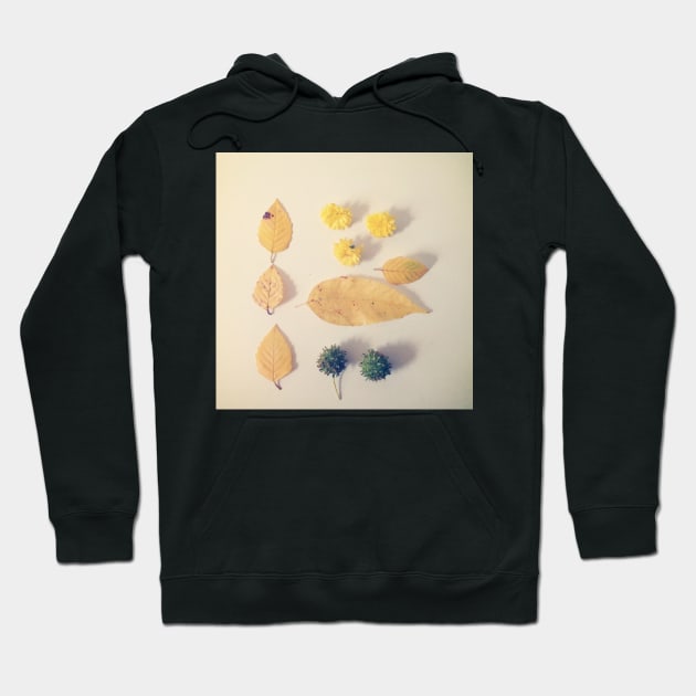Yellow Autumn Leaves Hoodie by oliviastclaire